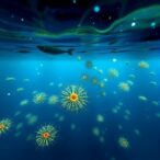 study-offers-in-depth-analysis-of-changes-in-toxin-producing-phytoplankton-populations