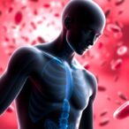 human-blood-nad+-levels-stable-across-ages,-lifestyles