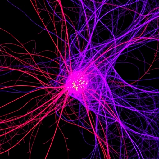 single-cell-map-reveals-immune-shift-in-als