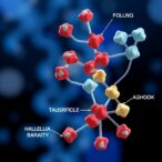 absolute-quantification-of-igg-glycans-unlocks-new-avenue-for-predicting-biological-age