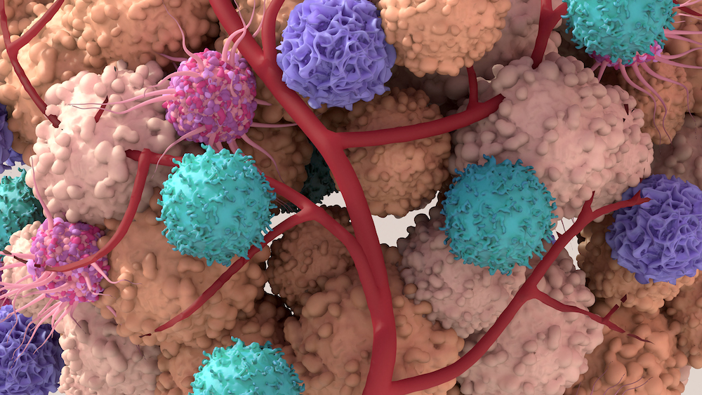 molecular-anchors-help-tumor-therapies-stay-longer-on-cancer-cells