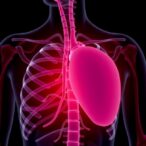 tracking-frailty-patterns-in-elderly-heart-attack-patients