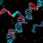 revolutionary-dna-guided-crispr-paves-the-way-for-next-generation-rna-editing
