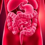 new-study-connects-age-related-gut-changes-to-higher-disease-risk