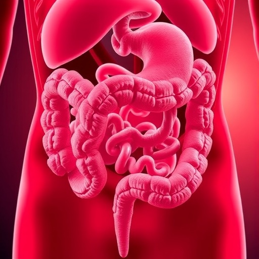 new-study-connects-age-related-gut-changes-to-higher-disease-risk
