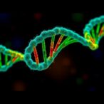 cancer-linked-protein-plays-key-role-in-tumor-dna-repair
