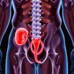botulinum-toxin-reduces-urinary-retention-post-hemorrhoidopexy