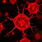 raav8-hmr-001-boosts-liver-gene-therapy-in-hemophilia