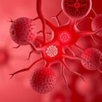 phocaeicola-dorei-eases-liver-fibrosis-via-efferocytosis