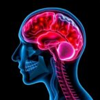 intrinsic-capacity,-resilience,-frailty-in-stroke-recovery