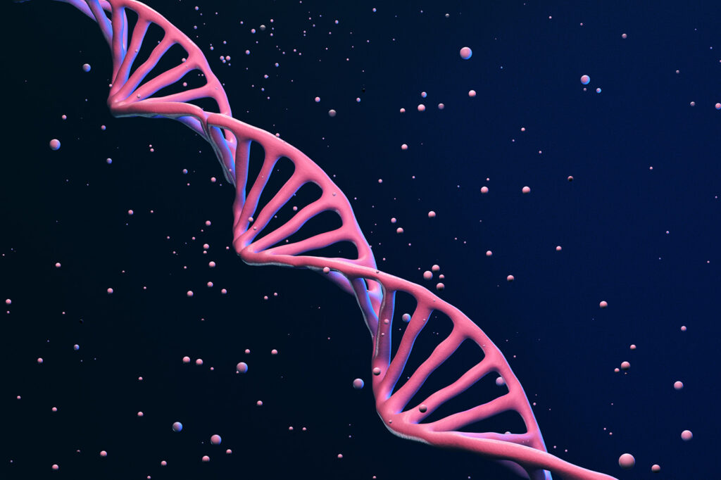 codon-optimization-isn’t-equal:-benchmarking-gene-design-for-antibody-expression