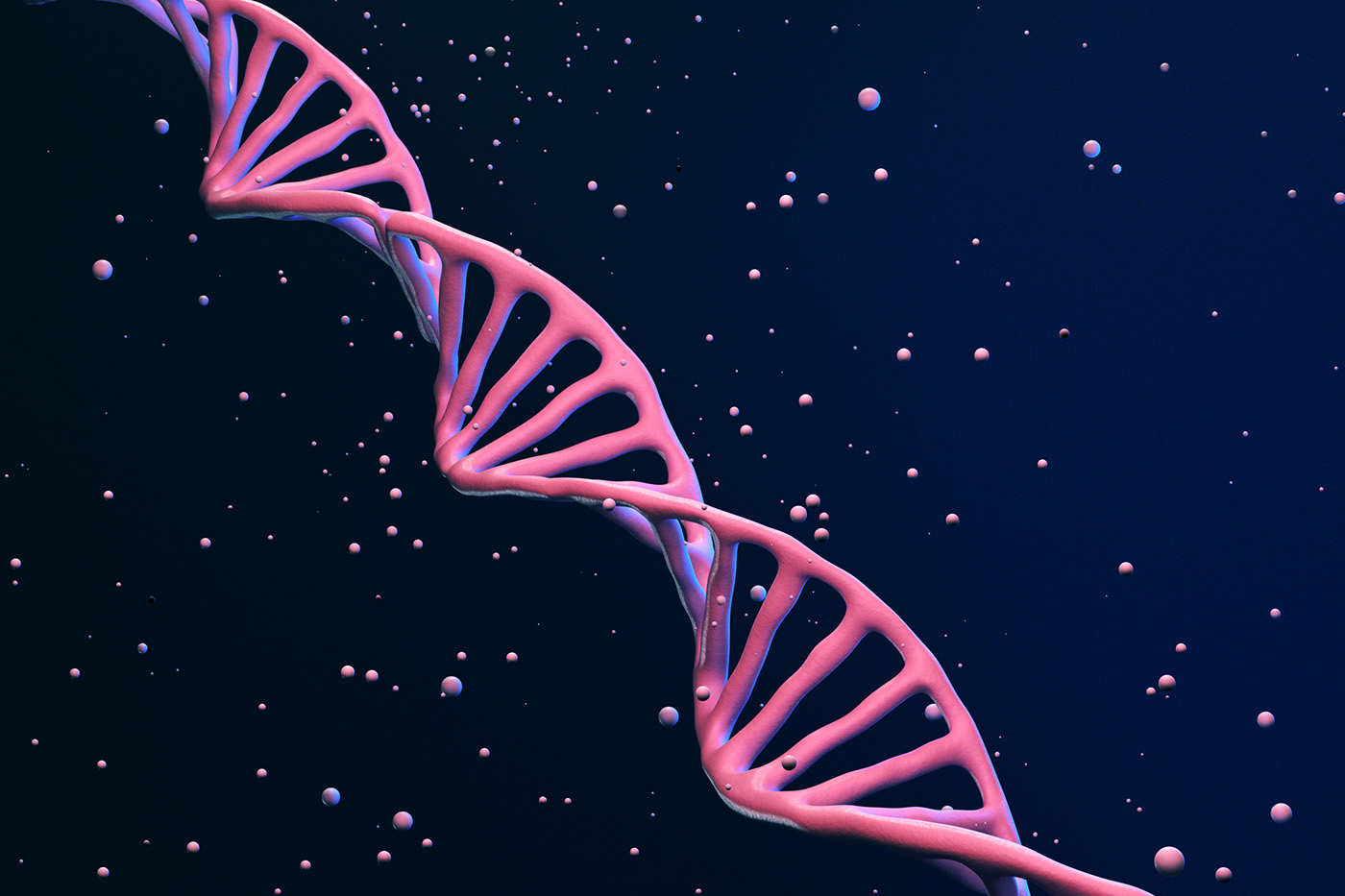 codon-optimization-isn’t-equal:-benchmarking-gene-design-for-antibody-expression