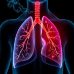 new-insights-into-how-smoking-causes-lung-stiffness
