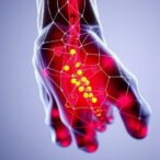 bioinspired-nanocomposite-advances-targeted-immunoengineering-and-enhances-tendon-regeneration