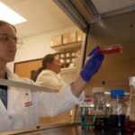 kraig-biocraft-labs-creates-immortalized-silk-gland-cell-line