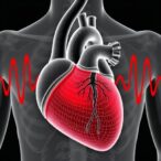 kynurenic-acid-links-epicardial-fat-to-atrial-dysfunction