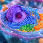 oncogenic-signaling-shaped-by-a-golgi-trafficking-protein-pair