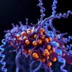 tau-aggregates-trigger-neuronal-death-via-z-rna