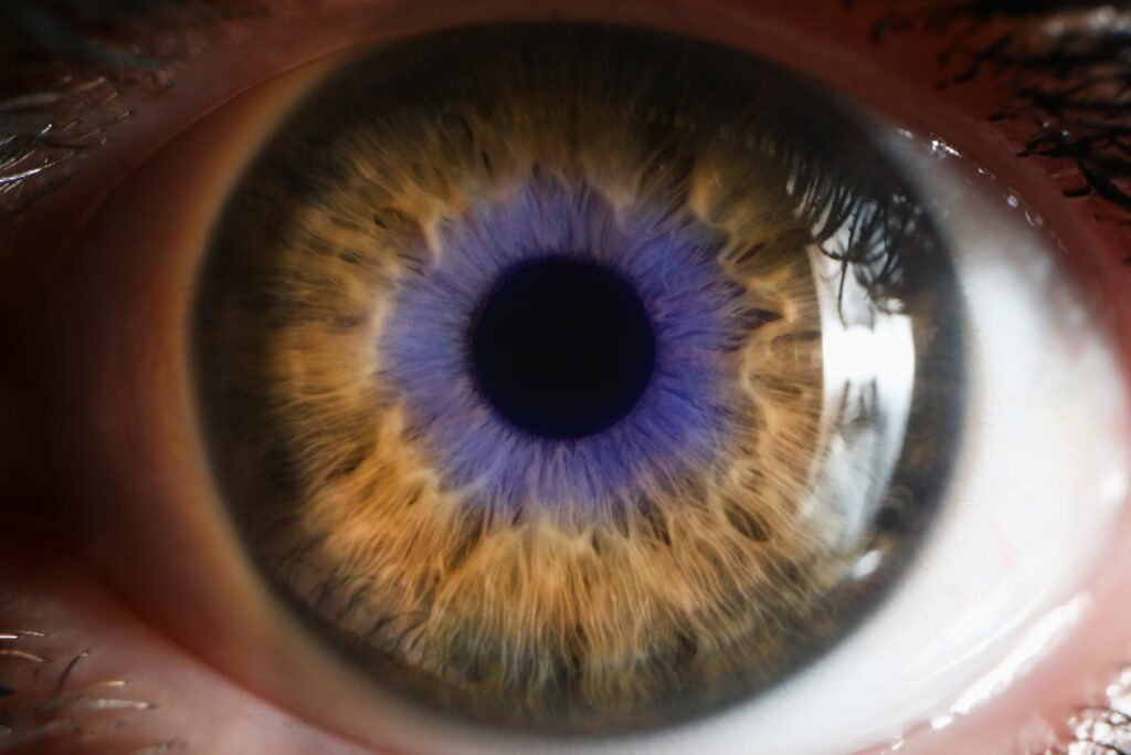 immunovant-pays-out-$39m-to-call-time-on-fcrn-inhibitor-after-eye-disease-phase-3-fails