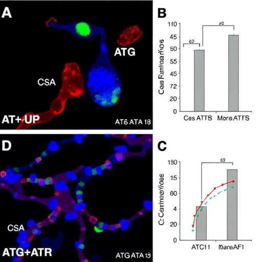 csa+atg-outperforms-csa-alone-in-pediatric-aplasia