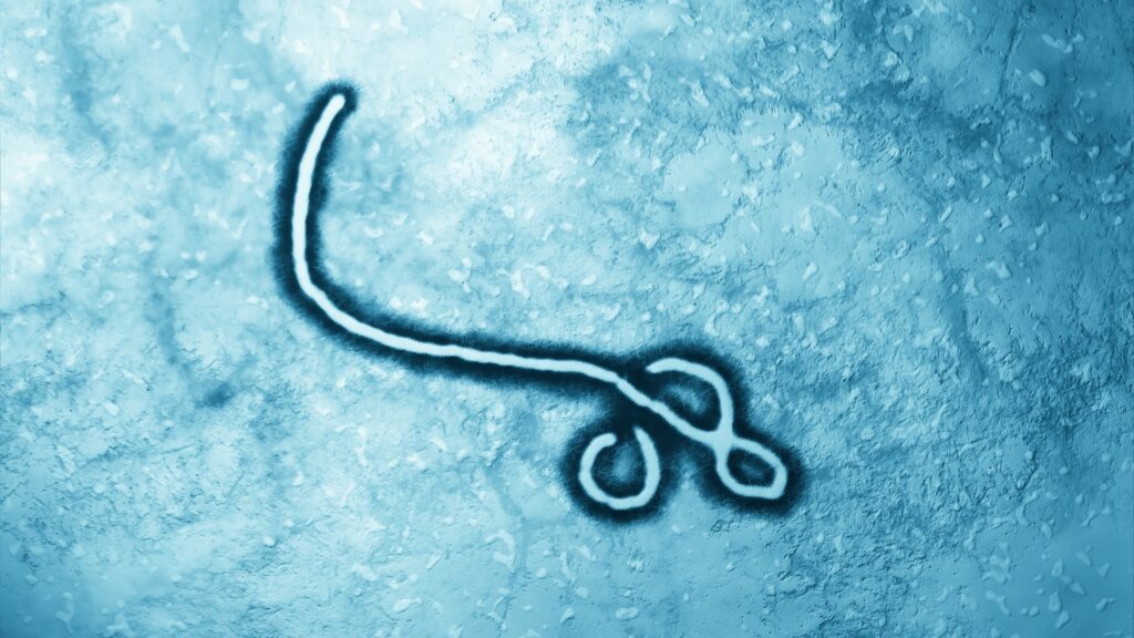 us-taps-small-san-diego-biotech-for-experimental-ebola-treatment-as-epidemic-worsens