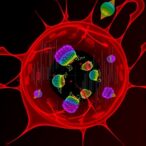 label-free-super-resolution-imaging-of-live-cells