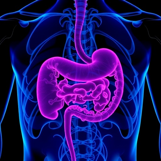 lowering-the-ca19-9-cutoff-could-help-detect-more-high-risk-pancreatic-cancer-cases