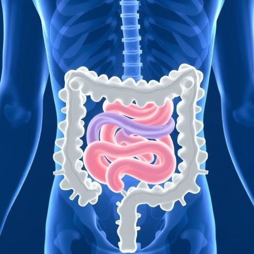 transplantable-large-scale-functional-human-gut-tissues