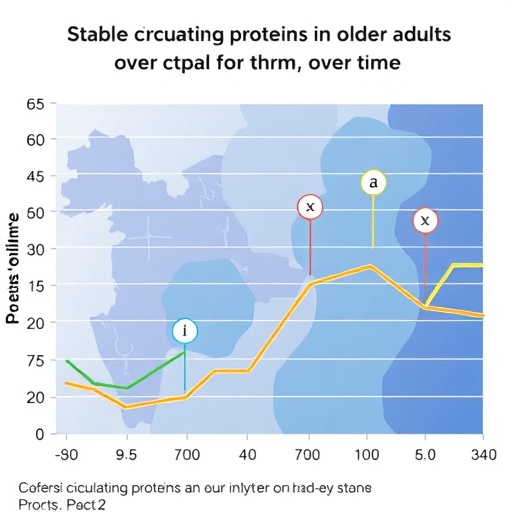 stable-circulating-proteins-in-older-adults-over-time
