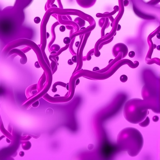 serum-urokinase-differentiates-borderline-her2-cancers