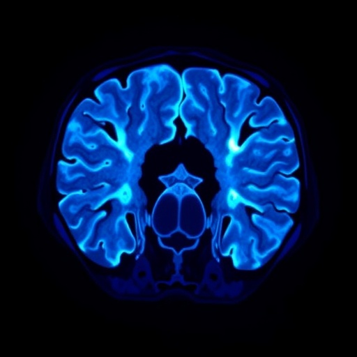 enhancing-low-dose-ct-scans-with-interpretable-multi-gaussian-cluster-variance-reduction
