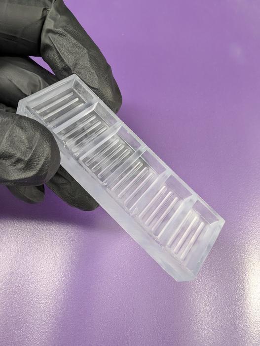 human-gut-organoids-with-functional-nerves-developed-that-can-be-mass-produced