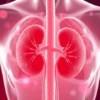 cd5l-protein-shields-kidneys-by-reducing-oxidative-stress