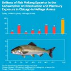 fish-consumption-and-mercury-exposure-in-chicago-asians