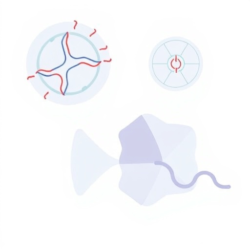rbm20-isoform-control-shapes-splicing-in-health