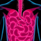 cbc-inflammatory-markers-forecast-risks-in-elderly-diarrhea