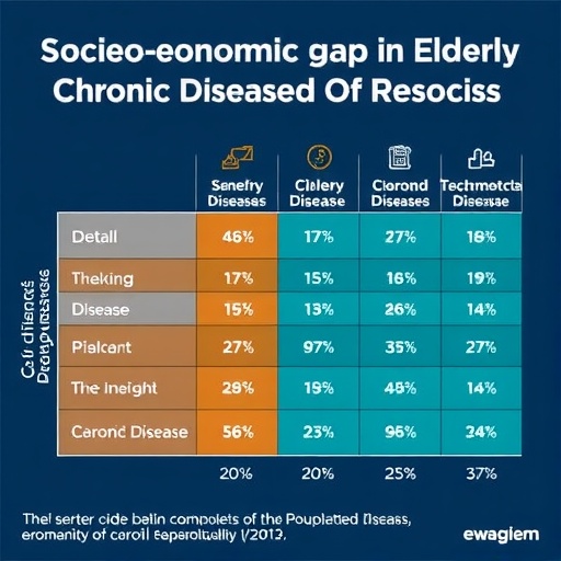 socioeconomic-gaps-in-elderly-chronic-disease-impact