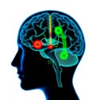 machine-learning-enhances-dual-target-deep-brain-stimulation