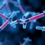 phenome-wide-study-links-second-line-diabetes-drugs-to-health-outcomes