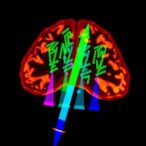gaba-in-ng2-glia-drives-empathy-like-behavior