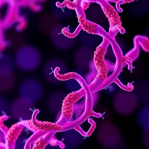 advances-and-strategies-in-antibody-oligonucleotide-conjugates