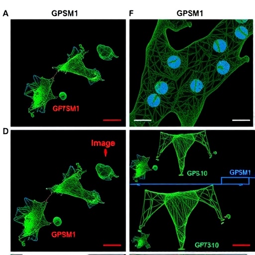 gpsm1-limits-cd73+cd103+-tregs-driving-obesity-damage