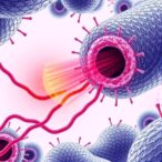 ferroptosis-and-macrophage-polarization:-key-mechanisms-revealed