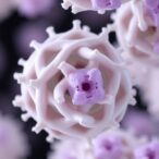 aztreonam–avibactam:-battling-metallo-β-lactamase-resistance