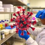 swri-and-texas-biomed-collaborate-to-test-antiviral-compounds-against-ebola-virus
