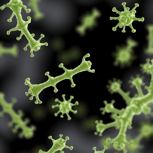 new-phages-uncover-resistance-genes-in-dorea