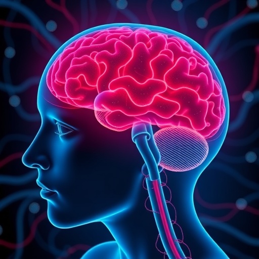 neurovascular-coupling-in-amygdala-influences-negative-emotions