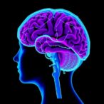 using-virtual-reality-path-integration-to-predict-neurodegenerative-disease-risk