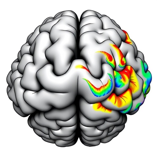 sparse-to-dense-coding-in-hippocampal-ca3-ca1