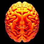 lifespan-brain-microstructure-mapped-through-normative-modeling